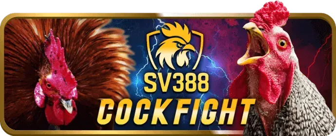 Khuyến mãi thưởng chào mừng thành viên mới tại Z888 Casino