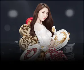 Cán bộ Bảo vệ Dữ liệu của Z888 Casino